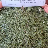 تره کوهی گلپر کوهی موسیر
