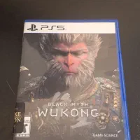 دیسک Wukong PS5|کنسول، بازی ویدئویی و آنلاین|تهران, فردوسی|دیوار