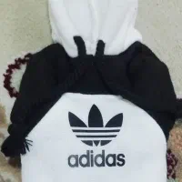 هودی دنده
