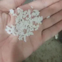 نیم.دانه.طارم.فجر