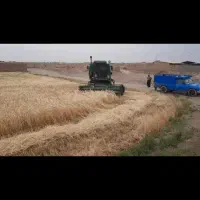 فروش4هکتارزمین-کشاورزی-سند-تک-برگ