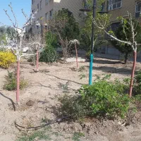 استخدام باغبان