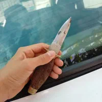 چاقو