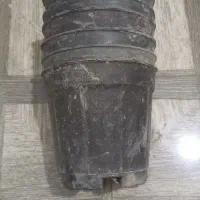 گلدان