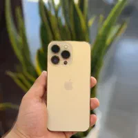 iphone|موبایل|شیراز, ملاصدرا|دیوار