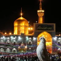 هّـتٌـلَ فول بـرد٪ مشهد قسطی 5ماهه بدون پیش پرداخت