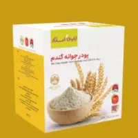 پودر جوانه گندم