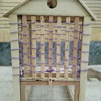 قفس لاکچری، برای انواع پرندگان، سگ و گربه