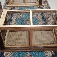 قفس گربه گیر