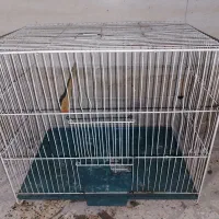 قفس