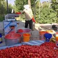 آب گیری گوجه سیار درب منزل