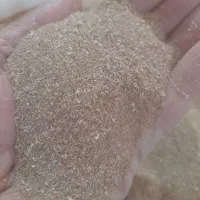 بهترین غذای گیاهان و درختان