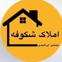 استخدام نیروی مشاور املاک
