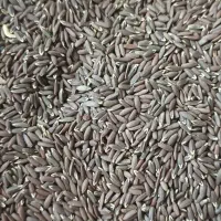 کنجدسیاه تمیز و اعلا