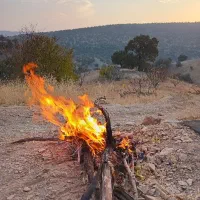 فروش زمین کشاورزی دیم