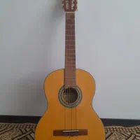 گیتار بست فان