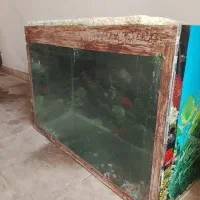 آکواریوم