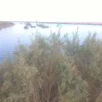 فروش زمین کشاورزی به همراه دوازده ساعت آب چاه