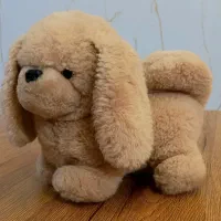 عروسک سگ گوش دراز