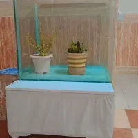 آکواریوم مانستر