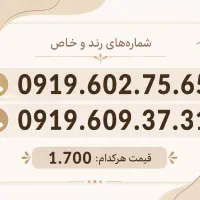 خط 0919 رند با قیمت مناسب