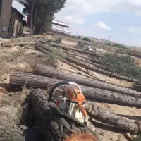 چوب سقفی وکنده درخت