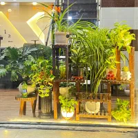مغازه ۲۵۵ متری تاپ لوکیشن
