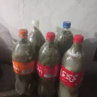 خیارشور خوشمزه بهداشتی