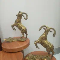 دوتا گوزن برنج