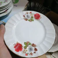 دیس و بشقاب و گلدان چینی