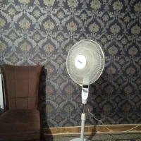 پنکه