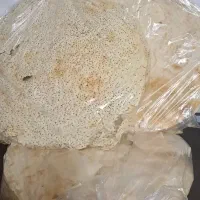پخش عمده و جزعی نان خشک سبوس دارمحلی
