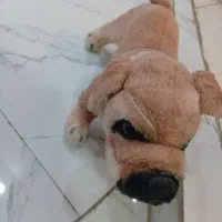 عروسک سگ