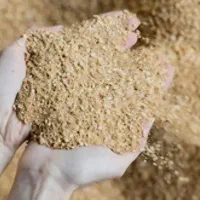 خوراک دام- مرغ، خروس، گاو، گوسفند