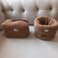 ست تدی پینترستی