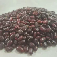 لوبیا قرمز جهت نذورات محرم