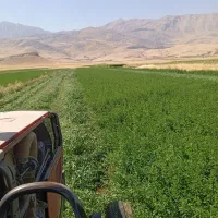 یونجه بسته