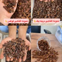 کشمش خراسان رضوی