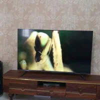 تلویزیون ۵۵ اینچ دوو