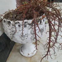 گلدان پایه بزرگ سفالی
