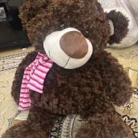خرس بزرگ