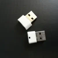 دو عدد فلش
