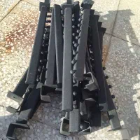 رگال