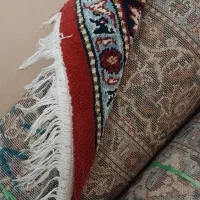 فرش۶ متری لاکی رنگ شانه بالا