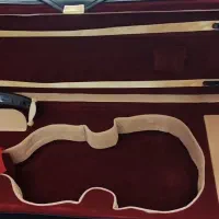 تی اف 800 tf|ویولن|اصفهان, باغ زرشک|دیوار