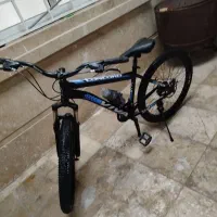 دوچرخه 26ویوا