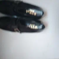 تعدادی کیف وکفش زنانه و مردانه نوودرحدنو