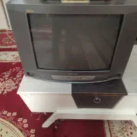 تلویزیون