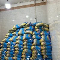 برنج الصابر کشت پاکستانی