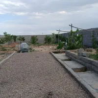 باغچه فروشی
